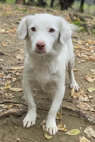 Holiday, geb. ca. 07/2024, 24114 Kiel