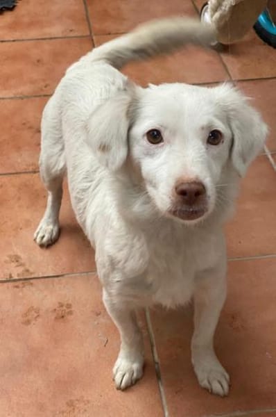 Holiday, geb. ca. 07/2024, 24114 Kiel