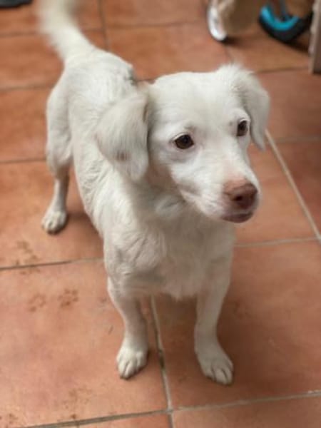 Holiday, geb. ca. 07/2024, 24114 Kiel