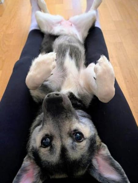 San - Die Feinfühlige