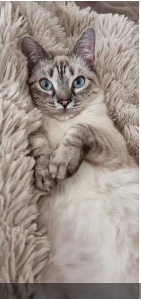 Mira & Marlene - einfach nur süüüß!