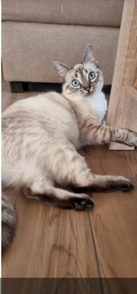 Mira & Marlene - einfach nur süüüß!