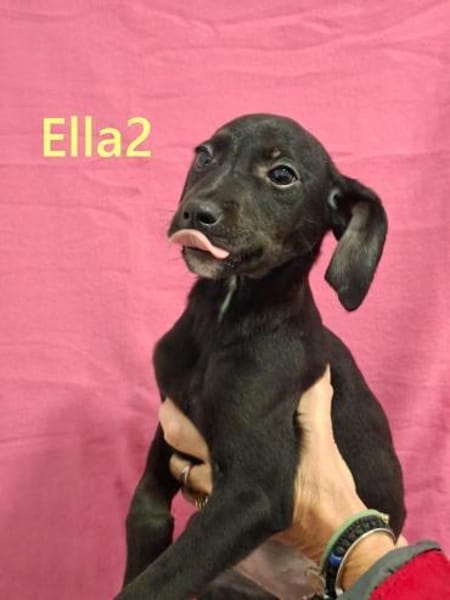 Sonnenschein sucht seinen Menschen