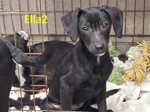 Sonnenschein sucht seinen Menschen