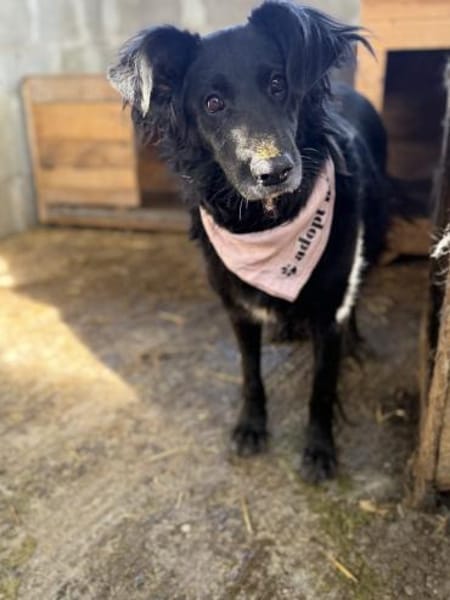 Sanfte Fiby hofft auf Happy End