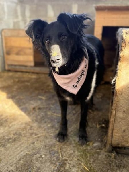 Sanfte Fiby hofft auf Happy End