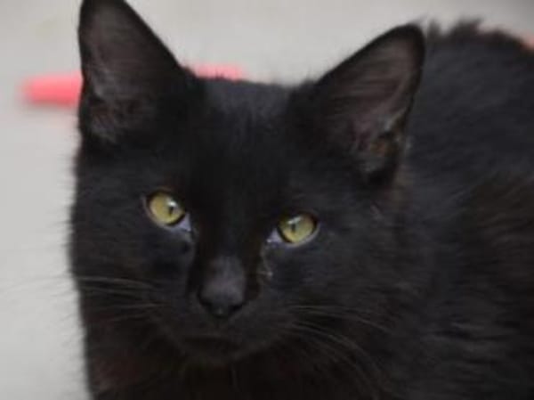 Athos - Seine vertraute Welt zerbrach