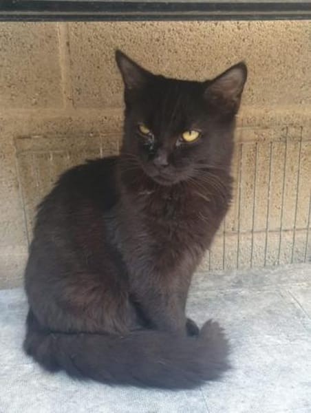 Athos - Seine vertraute Welt zerbrach