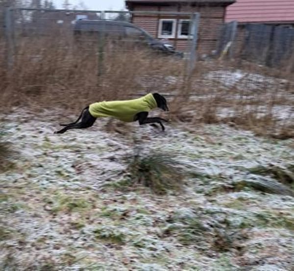 ♥Esmé- gerannt wird draußen- logo 🫶🏼