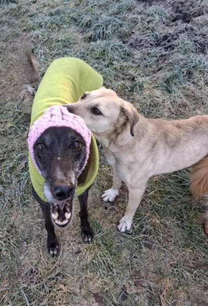 ♥Esmé- gerannt wird draußen- logo 🫶🏼