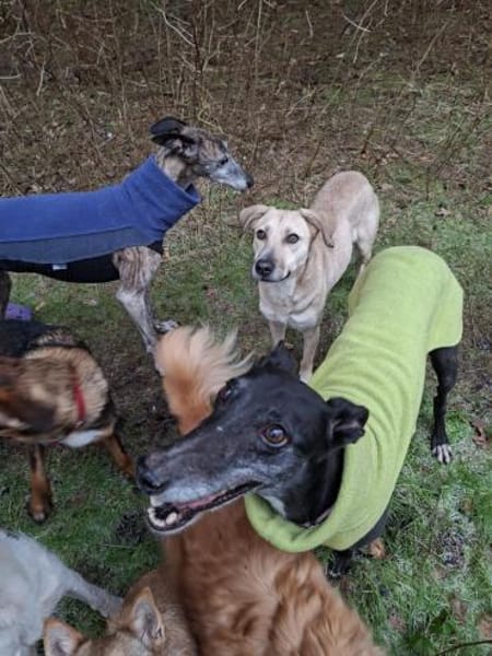 ♥Esmé- gerannt wird draußen- logo 🫶🏼