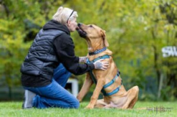 CADILLAC - verspielt&neugierig