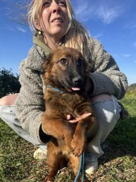 Luca - liebe und fröhliche Hündin