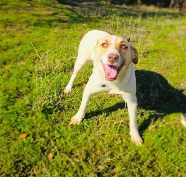 Leonie ein sehr bezauberndes Mädchen
