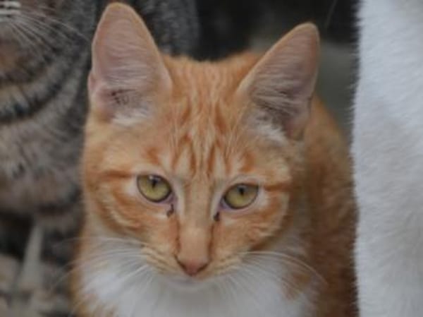 Porthos hat schlagartig alles verloren