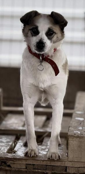 Kleine Seele Sunja / in München