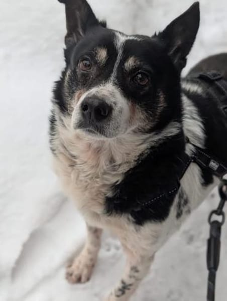 Problemlose unkomplizierte INNA ♥