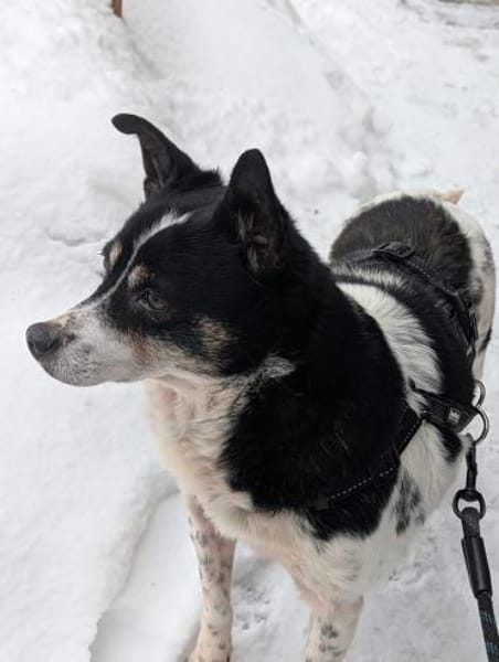 Problemlose unkomplizierte INNA ♥