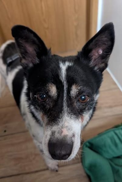 Problemlose unkomplizierte INNA ♥