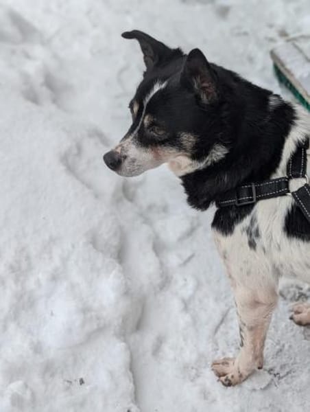 Problemlose unkomplizierte INNA ♥