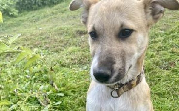 Quax - Bereit für Abenteuer?