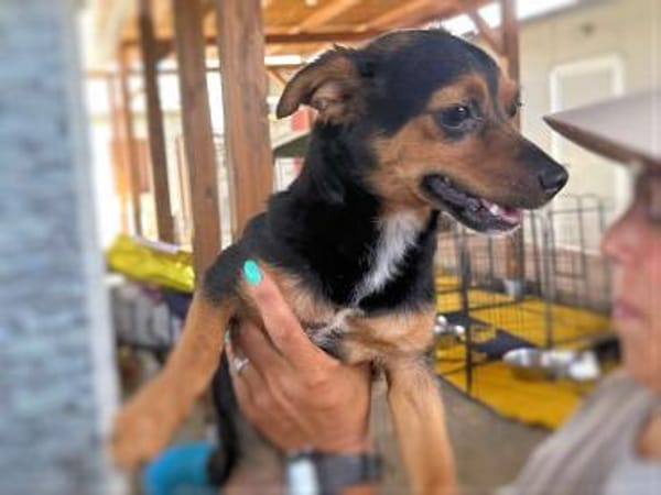 TIERRA - ab Februar auf PS in Duisburg