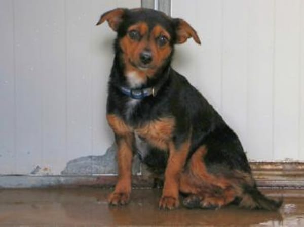 TIERRA - ab Februar auf PS in Duisburg