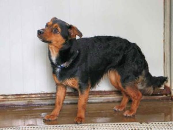 TIERRA - ab Februar auf PS in Duisburg