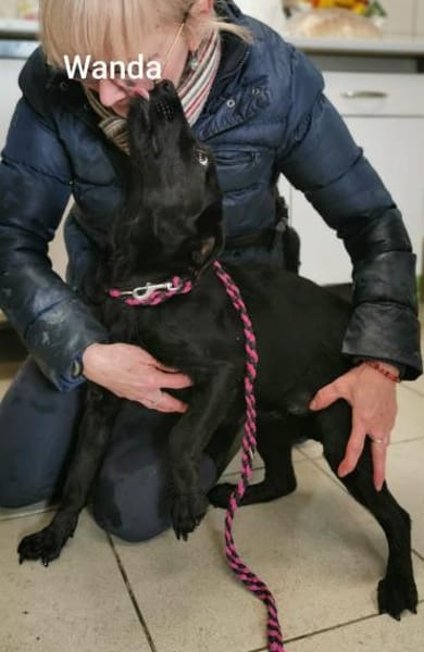 Ein Schatz mit Namen Wanda