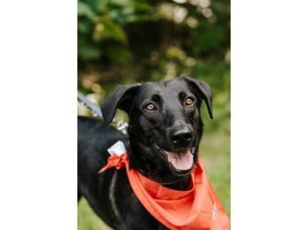 Linne  wartet in 91489 Wilhelmsdorf