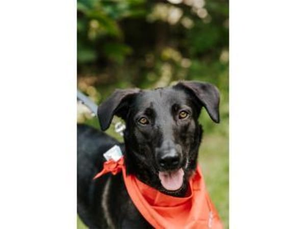 Linne  wartet in 91489 Wilhelmsdorf