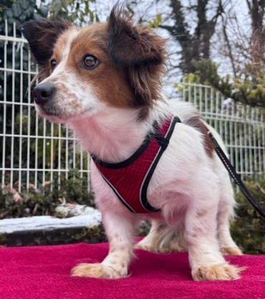 Betty die verschmuste / in München