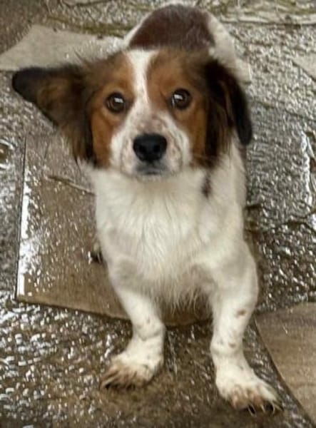 Betty die verschmuste / in München