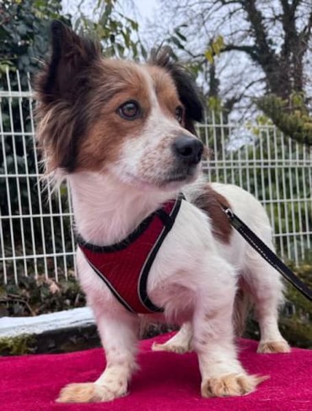 Betty die verschmuste / in München