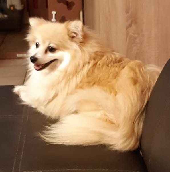 Conny in 27478 Cuxhaven #