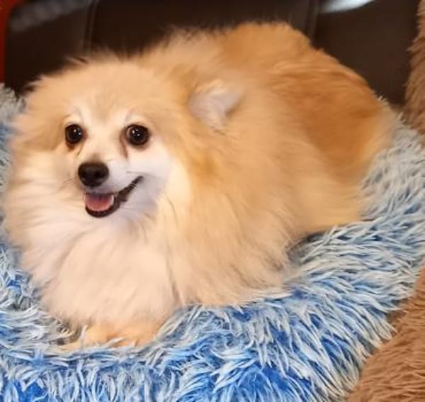 Conny in 27478 Cuxhaven #