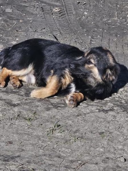 Monchi, aufgeschlossen und liebevoll