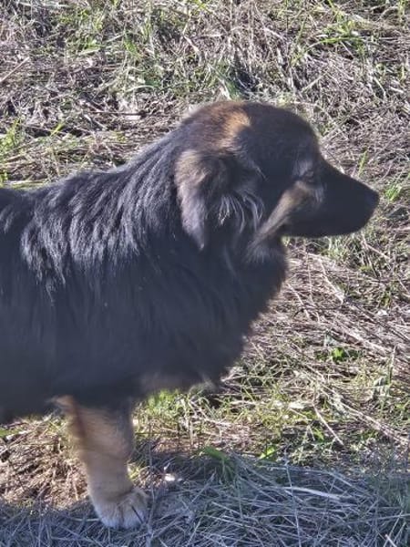 Monchi, aufgeschlossen und liebevoll