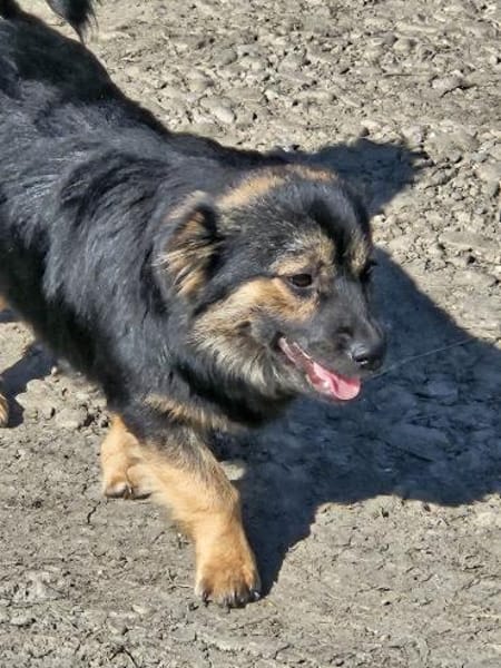 Monchi, aufgeschlossen und liebevoll