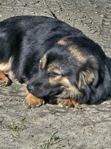 Monchi, aufgeschlossen und liebevoll