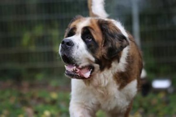 Oskar und Mia suchen ein Zuhause