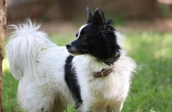 Putziger Skittle, bist Du seine Familie?
