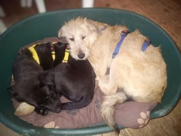 FLAPPI -freundlich & sportlich-