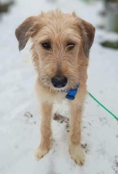 FLAPPI -freundlich & sportlich-