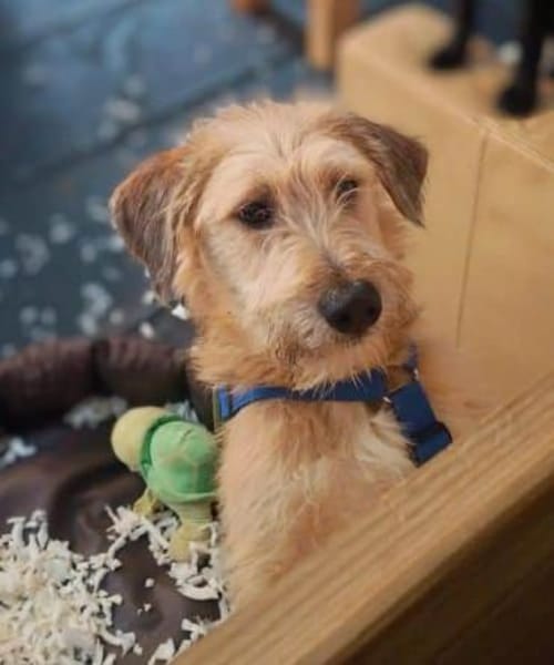 FLAPPI -freundlich & sportlich-