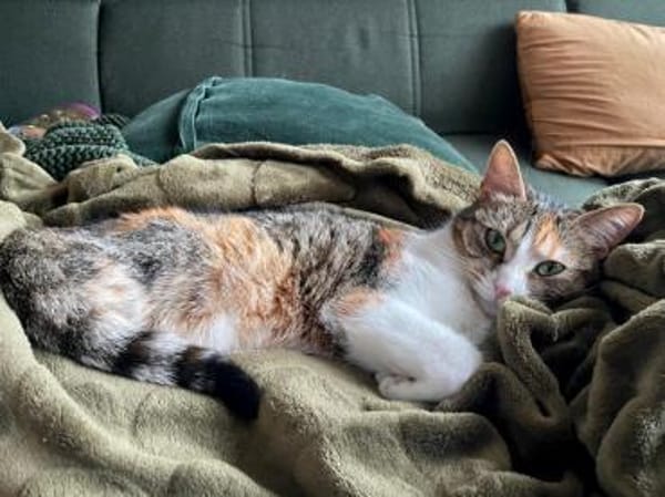 Goldige Martina hofft auf ihre Chance