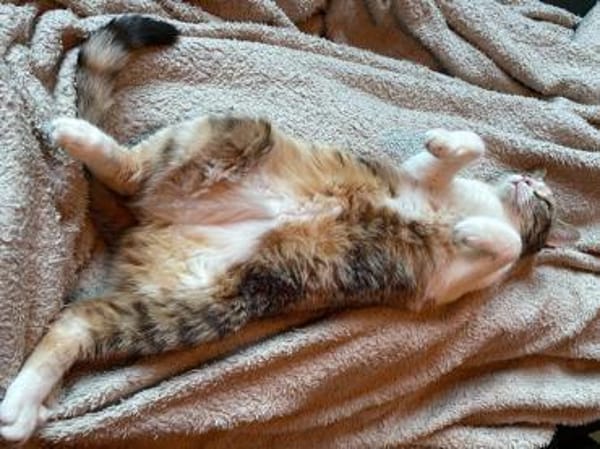 Goldige Martina hofft auf ihre Chance