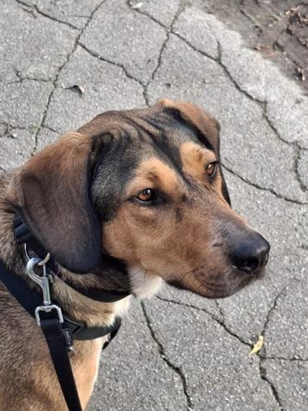 Lara sucht ihre für immer Familie!