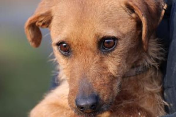 Turia - aufgeweckt u. unkompliziert