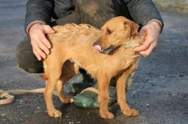 Turia - aufgeweckt u. unkompliziert